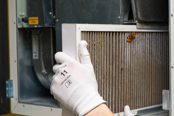 Best Commercial Air Duct Cleaning  in Dorr, MI