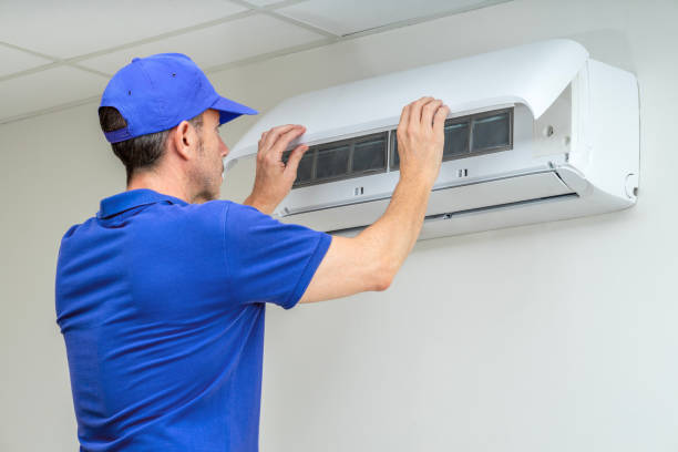 Best Home Air Vent Cleaning  in Dorr, MI